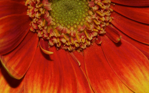 504797 (a): :2560x1600